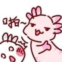 [图片]