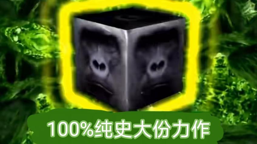 [图片]