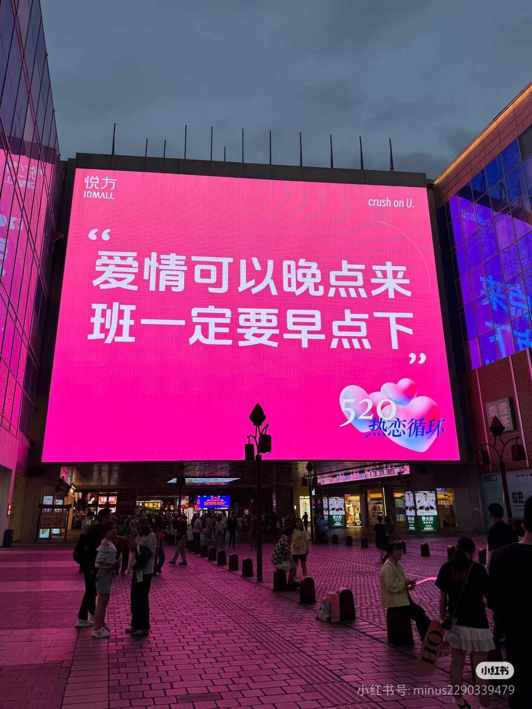 [图片]