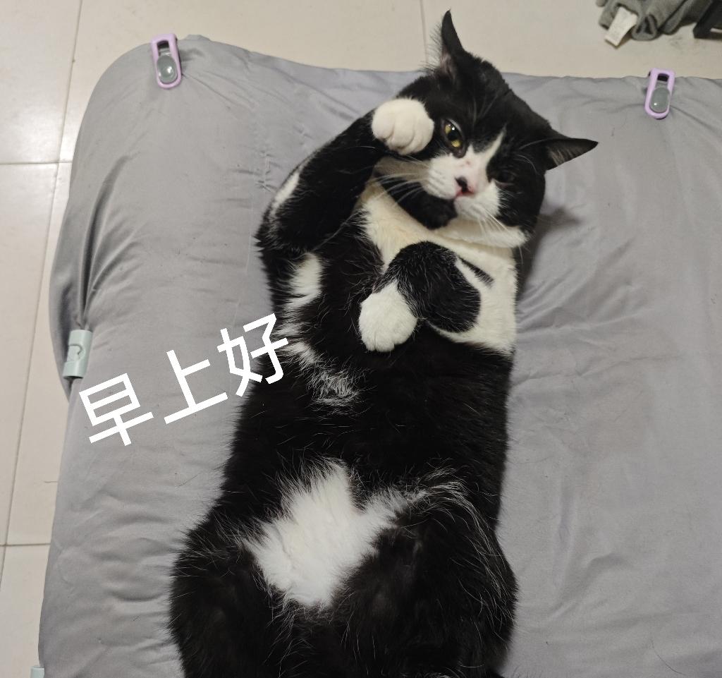 [图片]