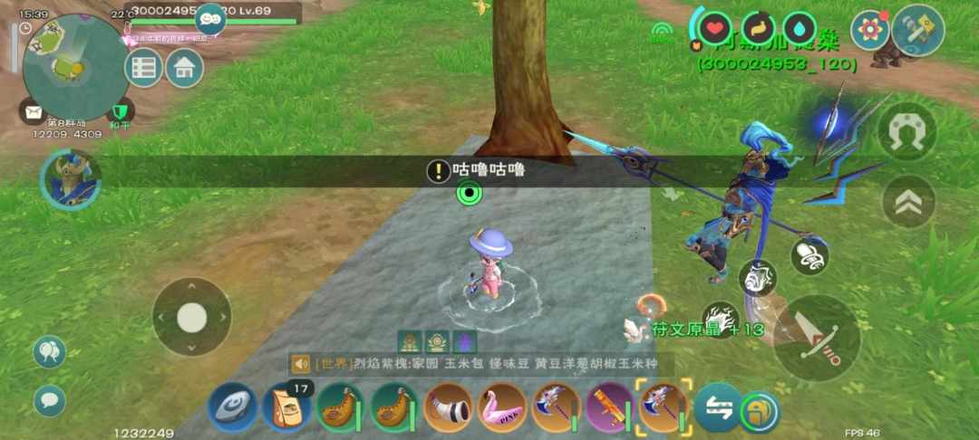 [图片]