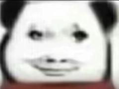 [图片]