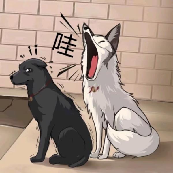 [图片]