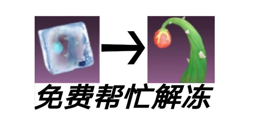 [图片]