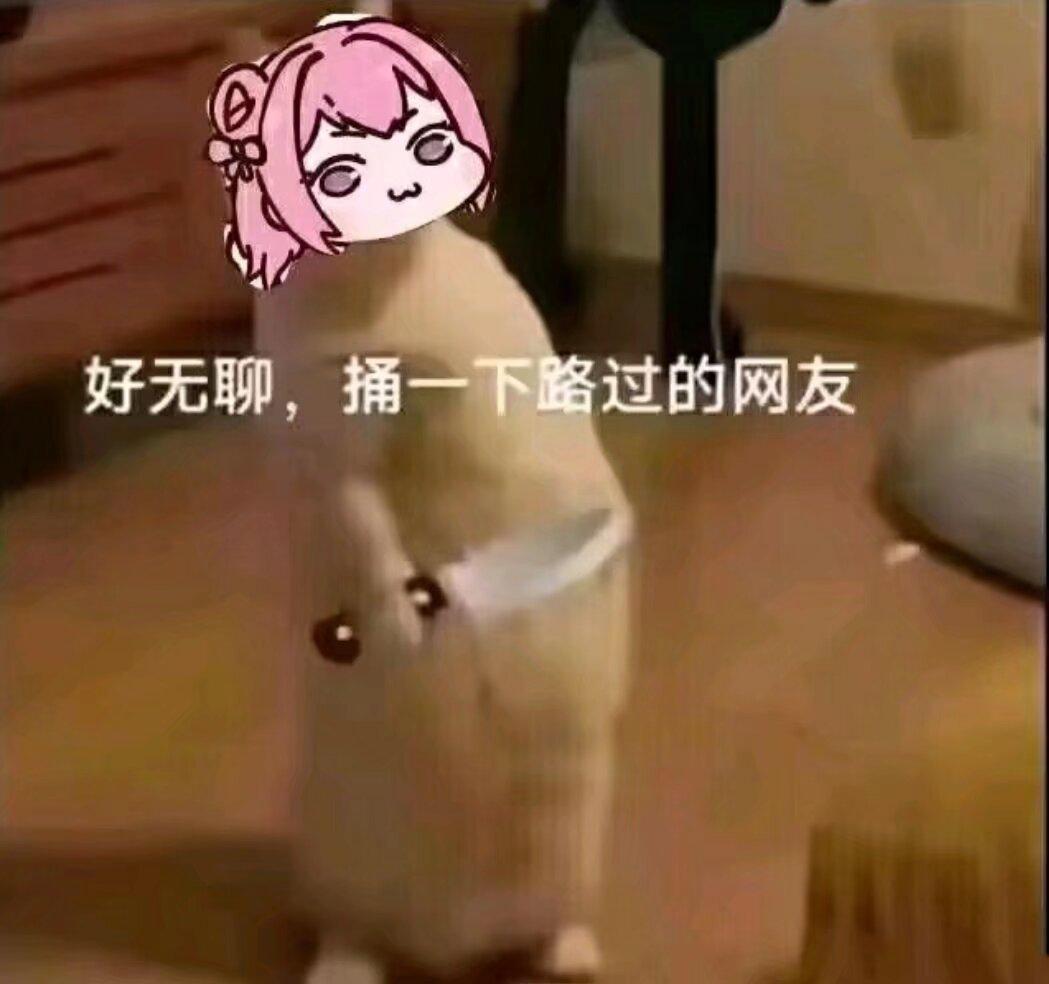 [图片]