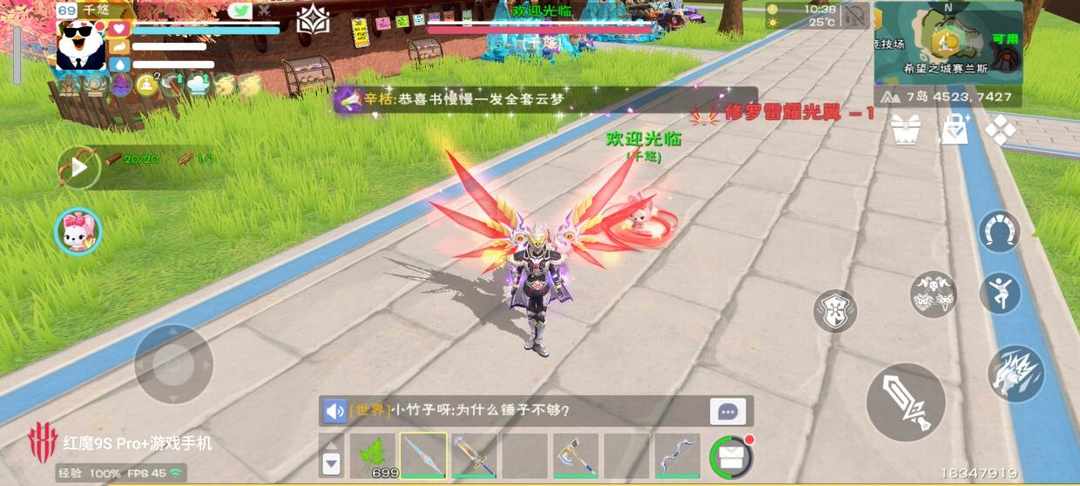 [图片]