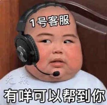 [图片]