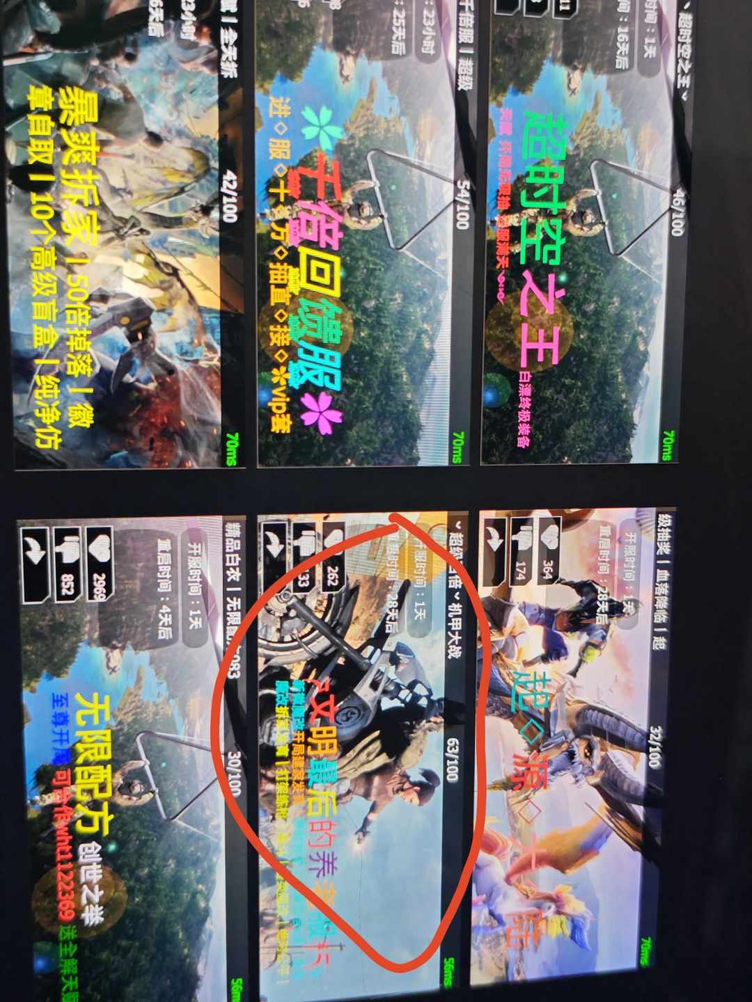 [图片]