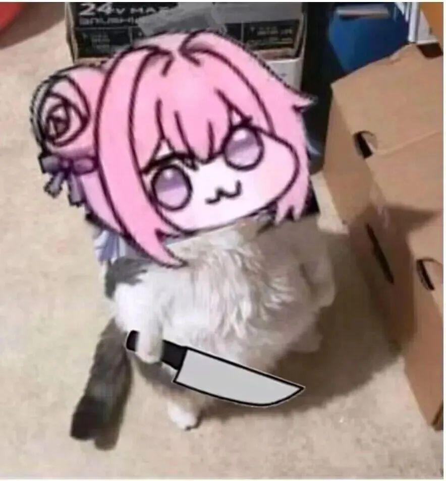 [图片]