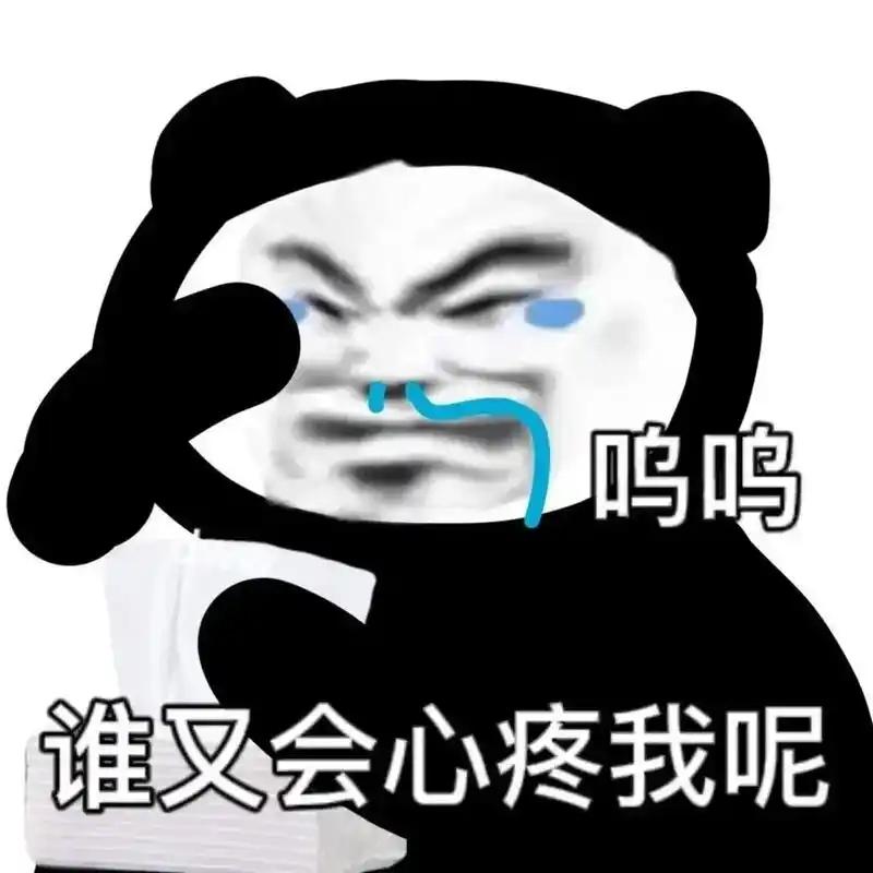 [图片]
