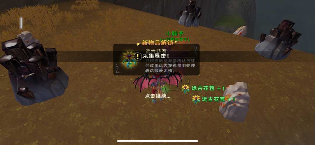 [图片]