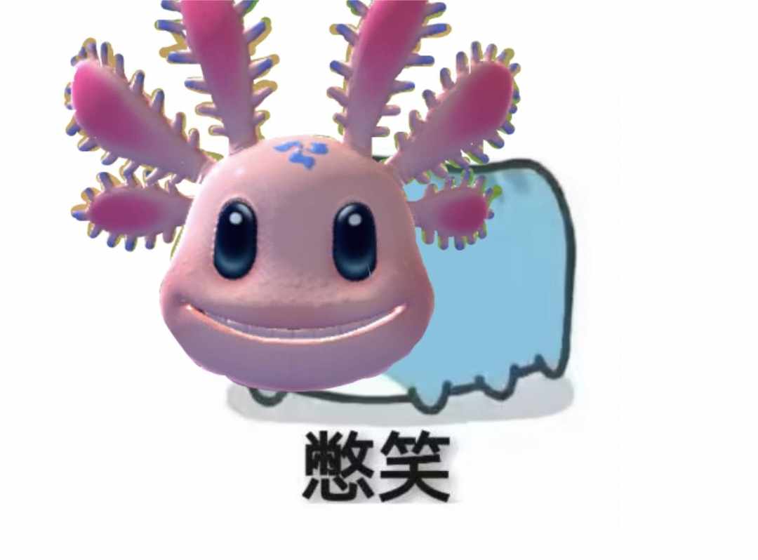 [图片]