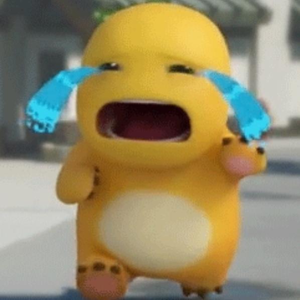 [图片]