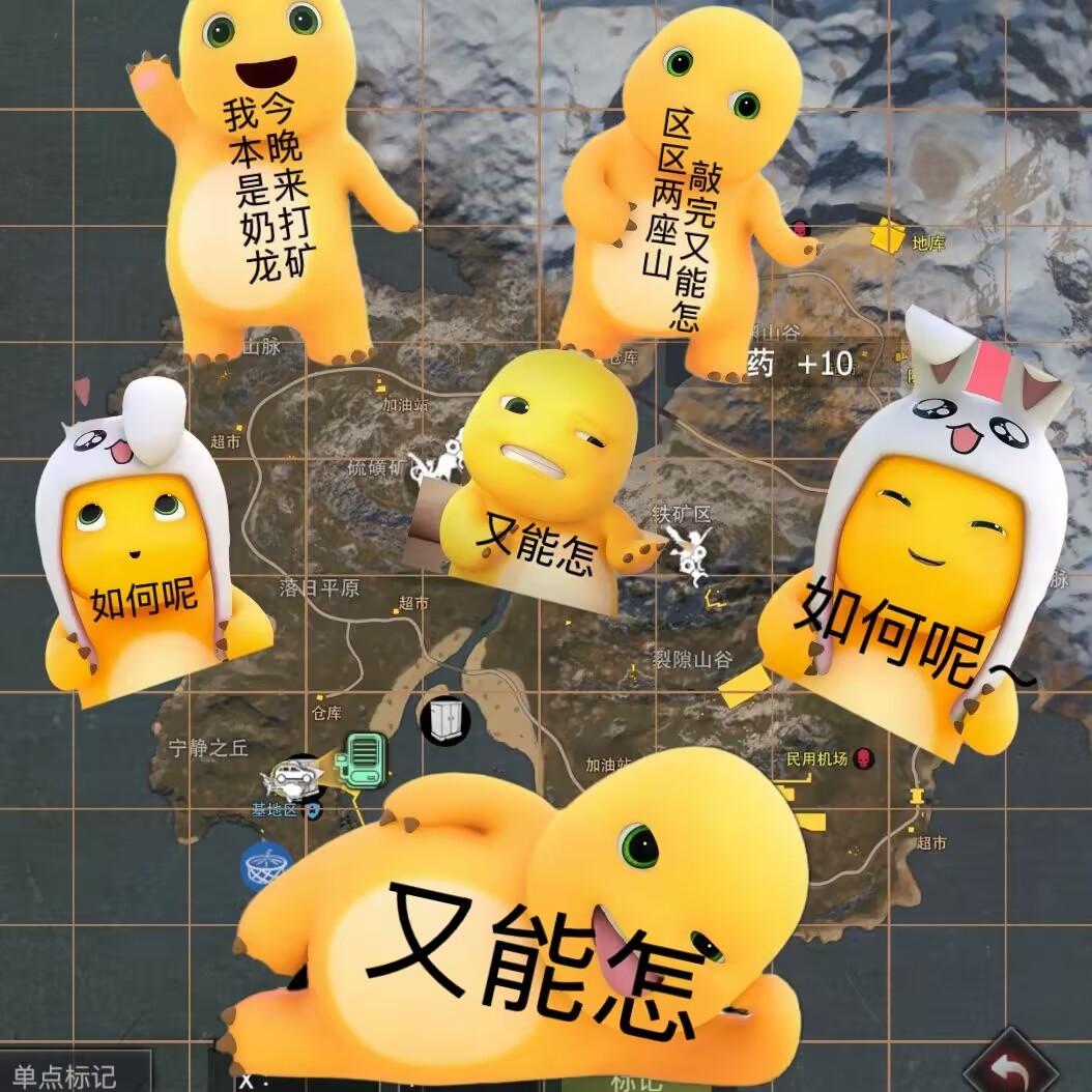 [图片]