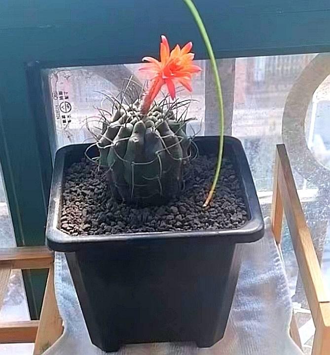 [图片]