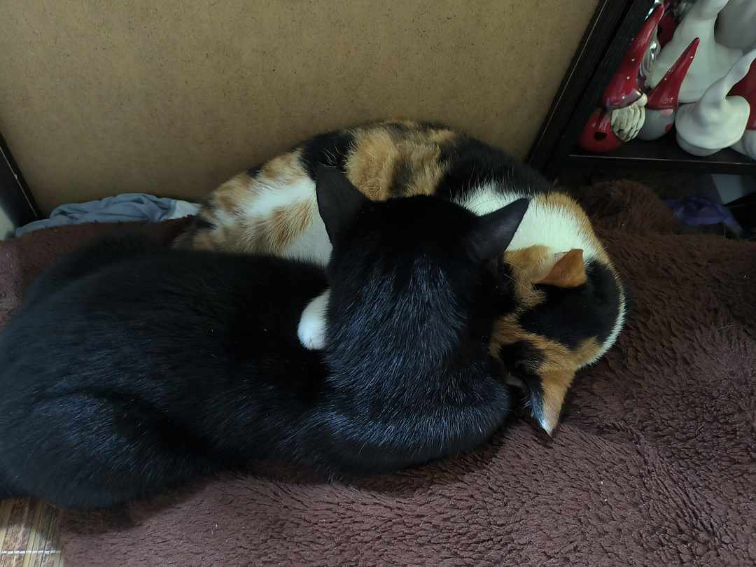 [图片]