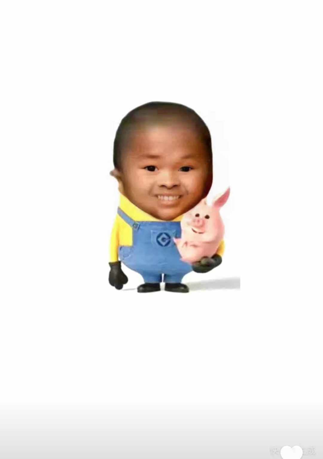 [图片]