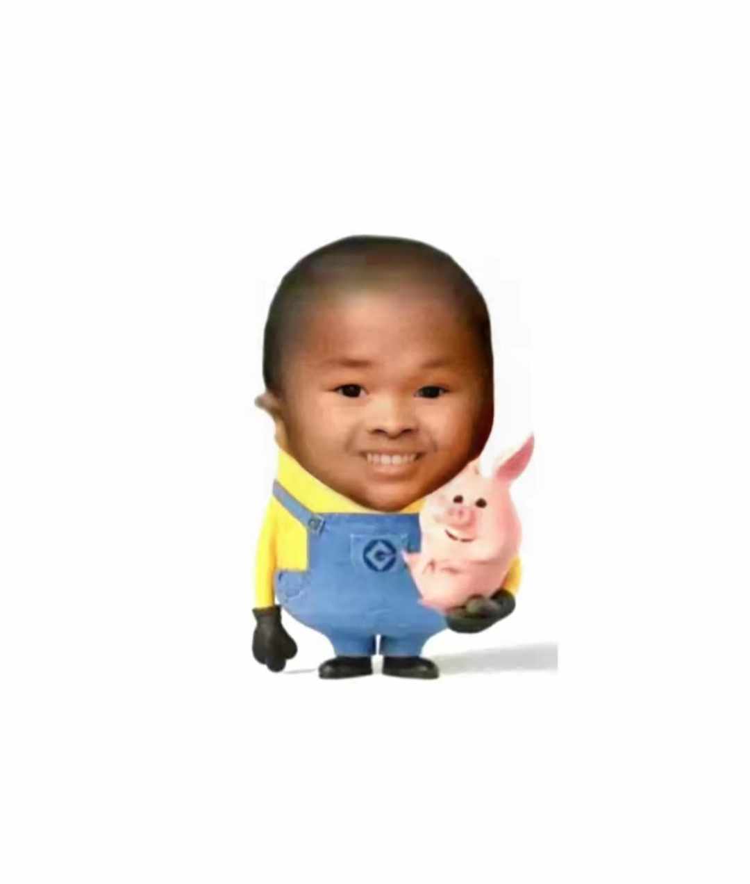 [图片]