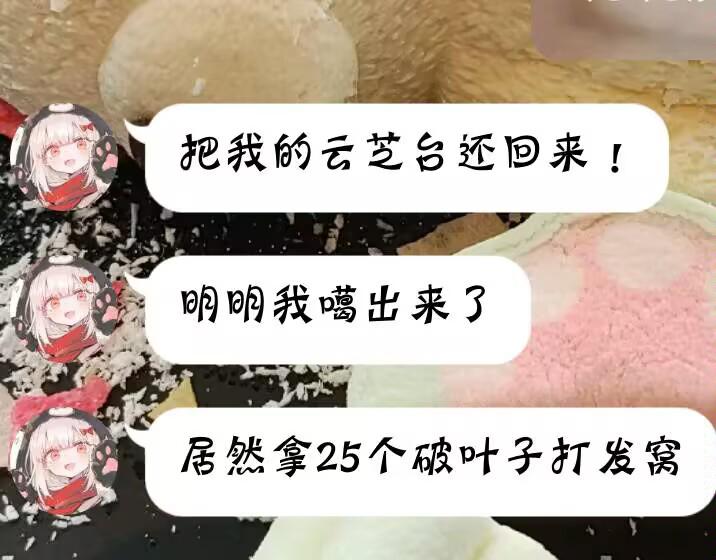 [图片]