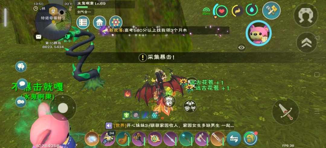 [图片]