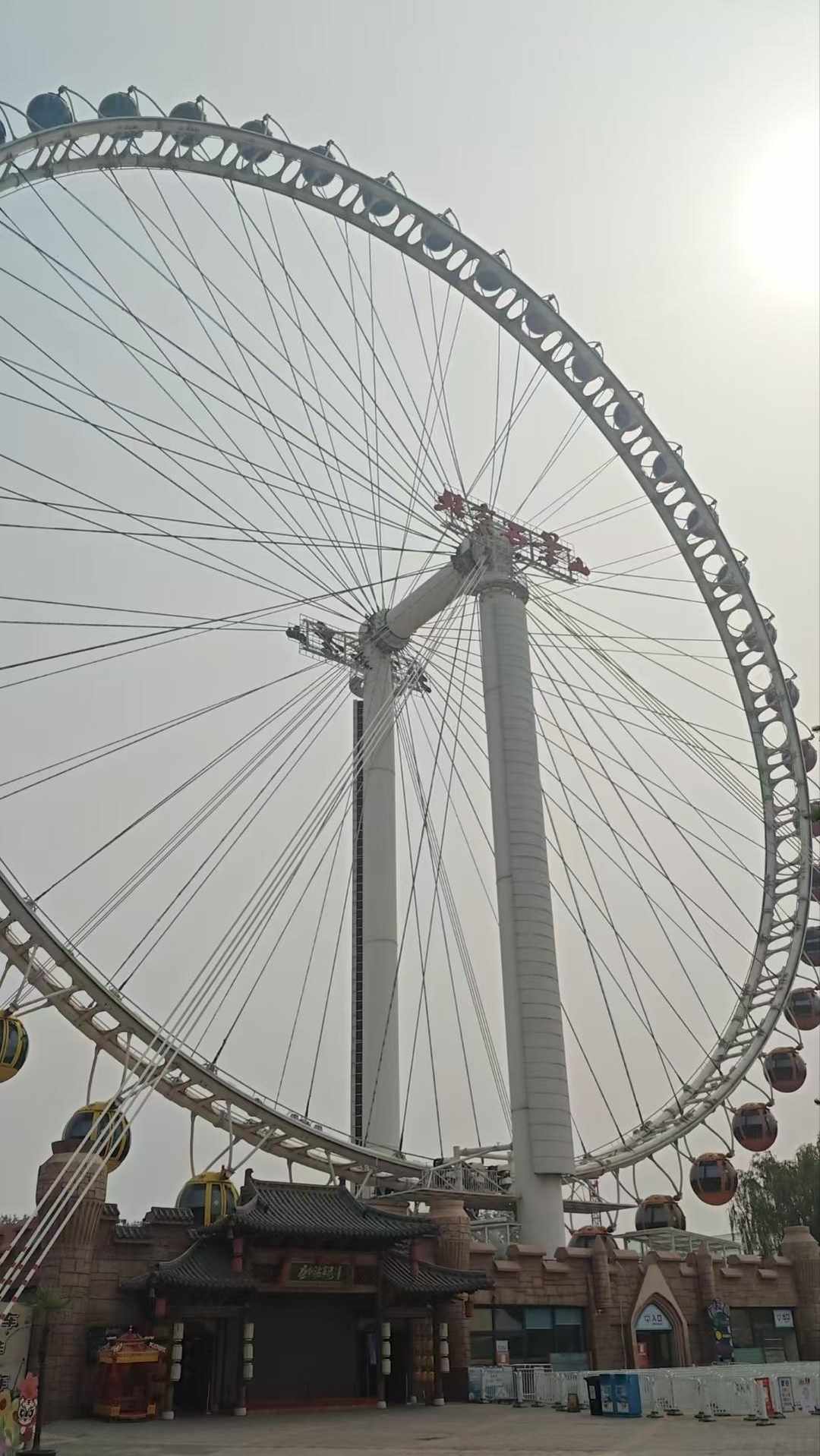 [图片]