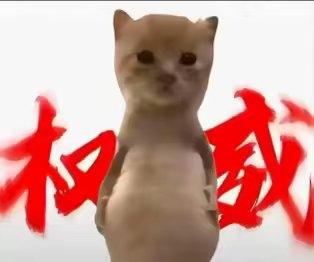 [图片]