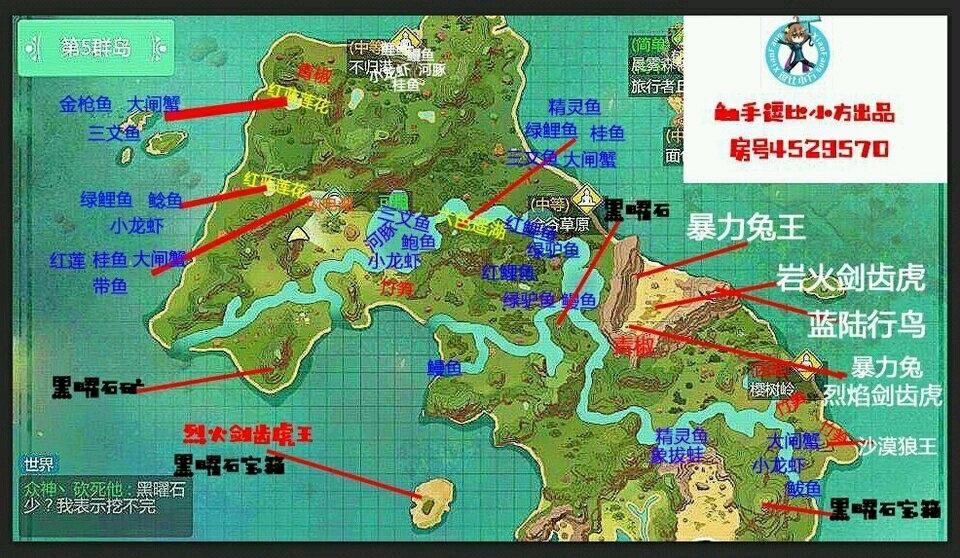 [图片]