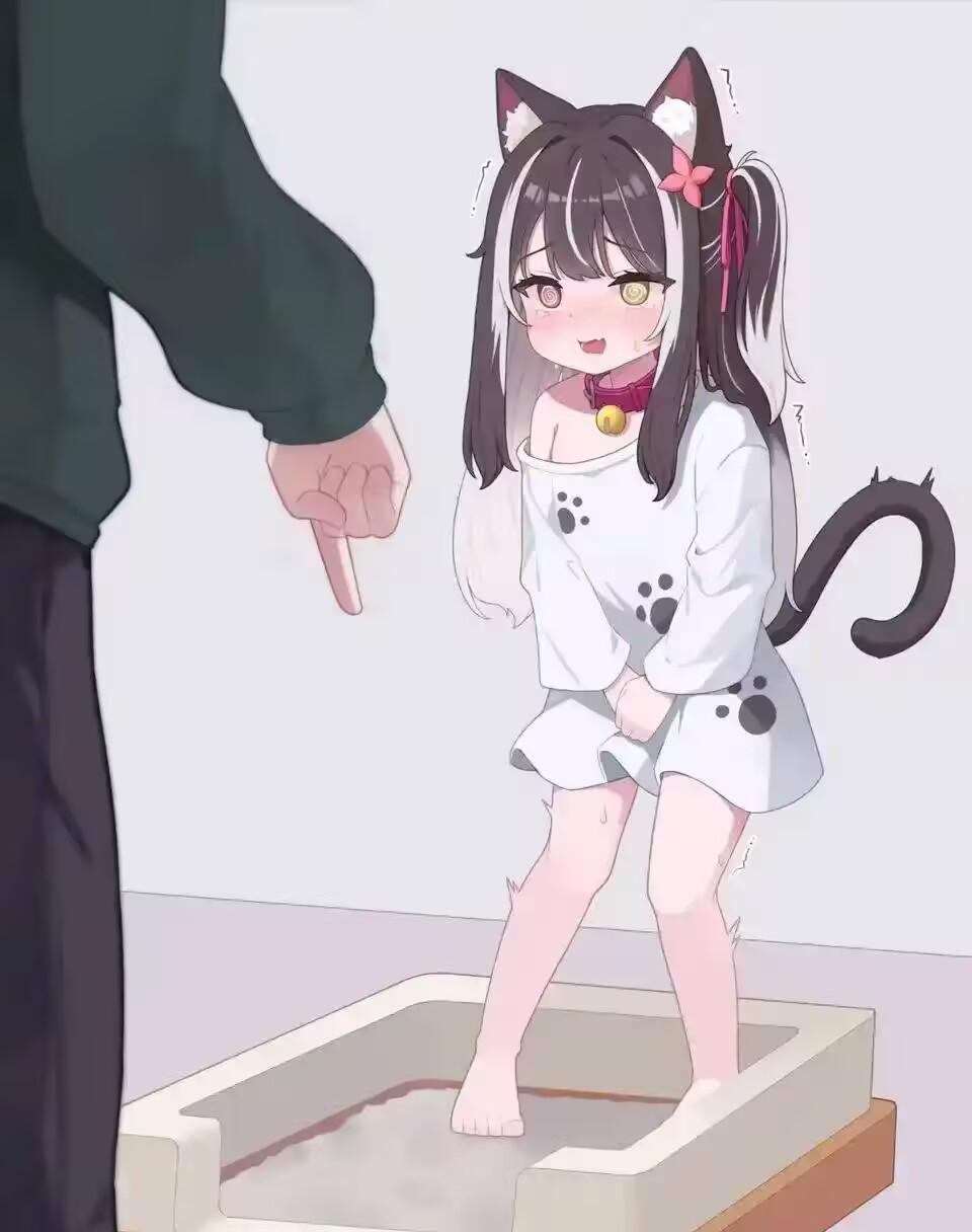 [图片]