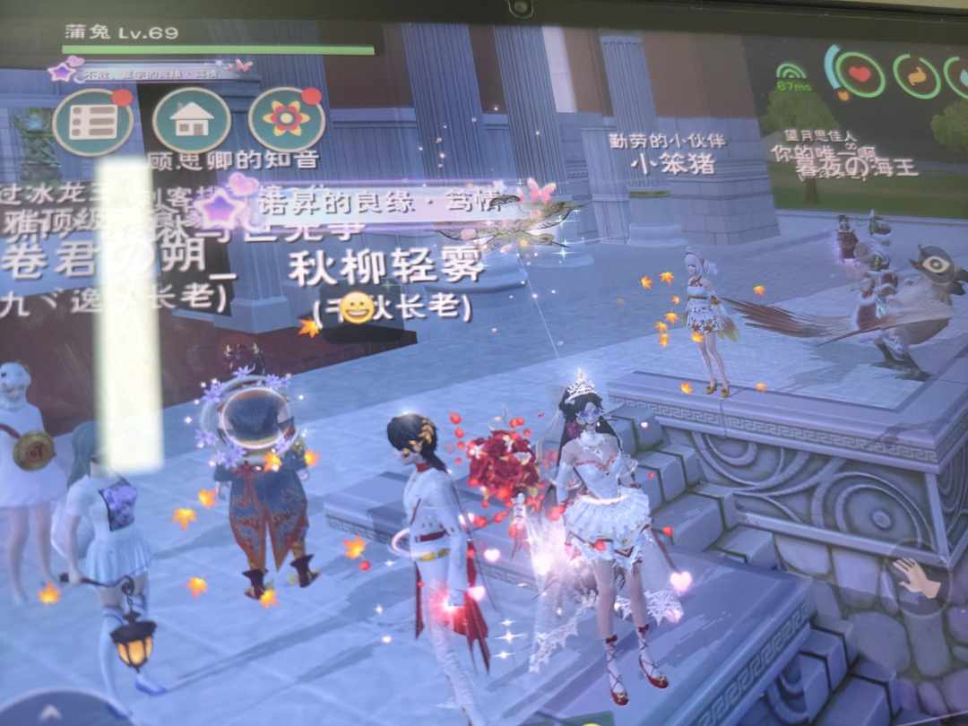 [图片]