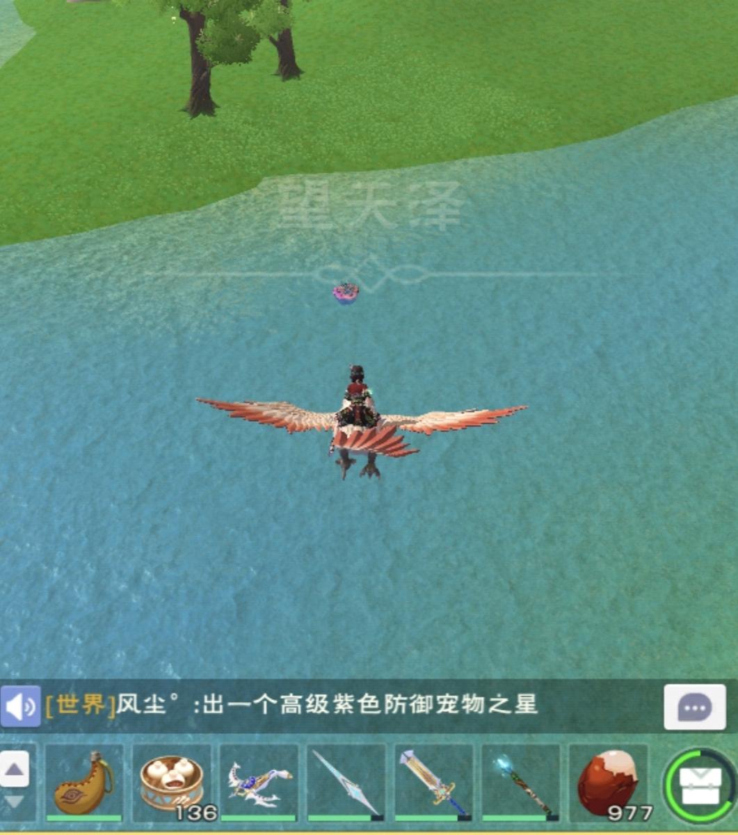 [图片]