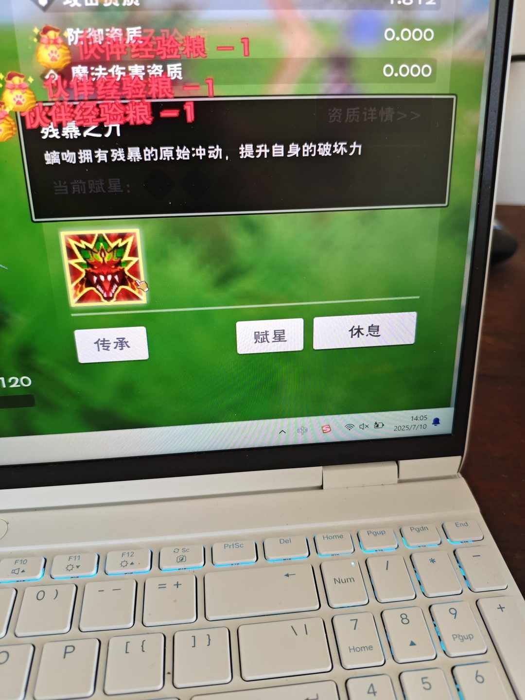 [图片]