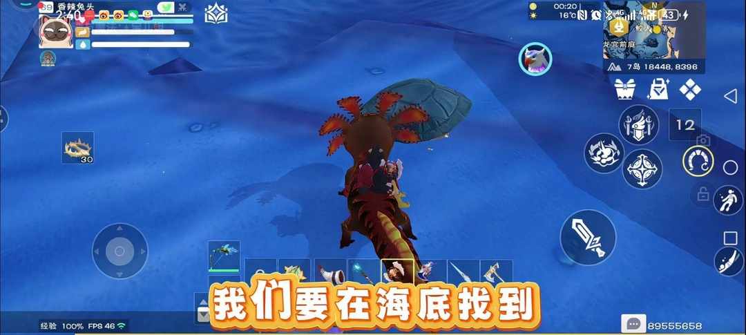 [图片]