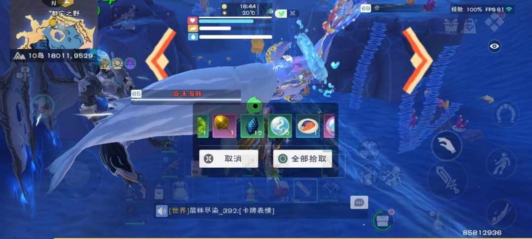 [图片]