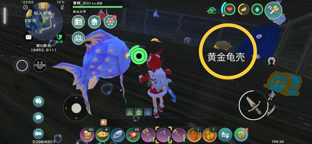[图片]
