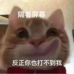 [图片]