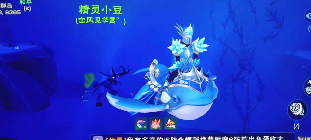 [图片]