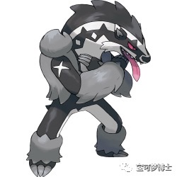 [图片]