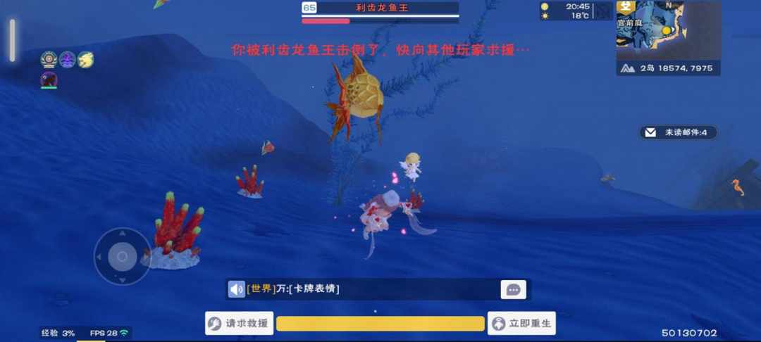 [图片]