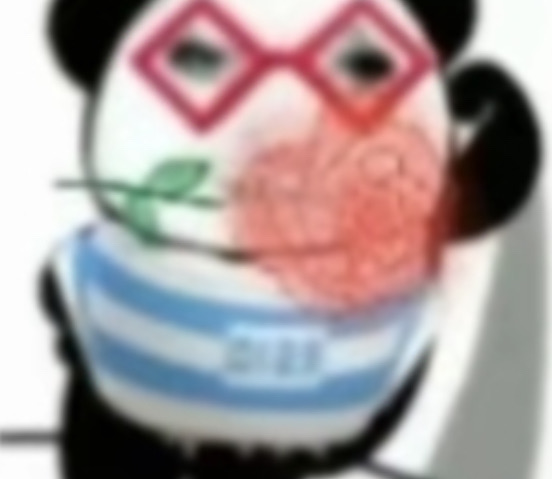 [图片]