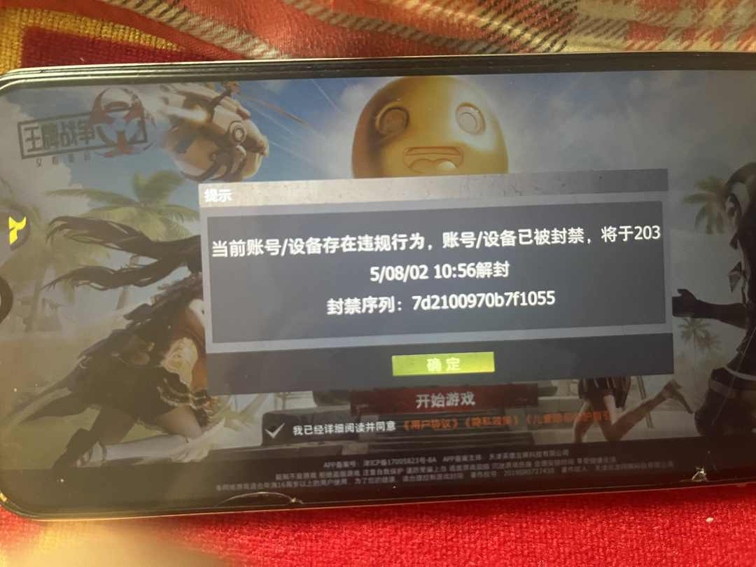 [图片]