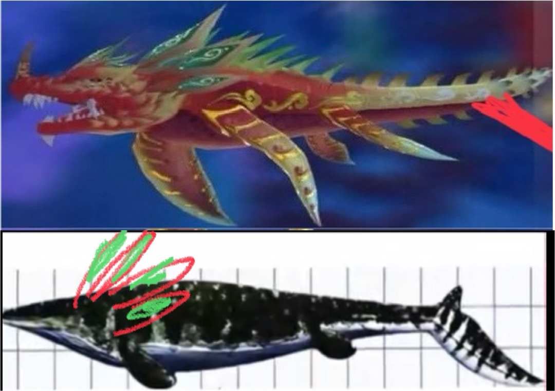 [图片]