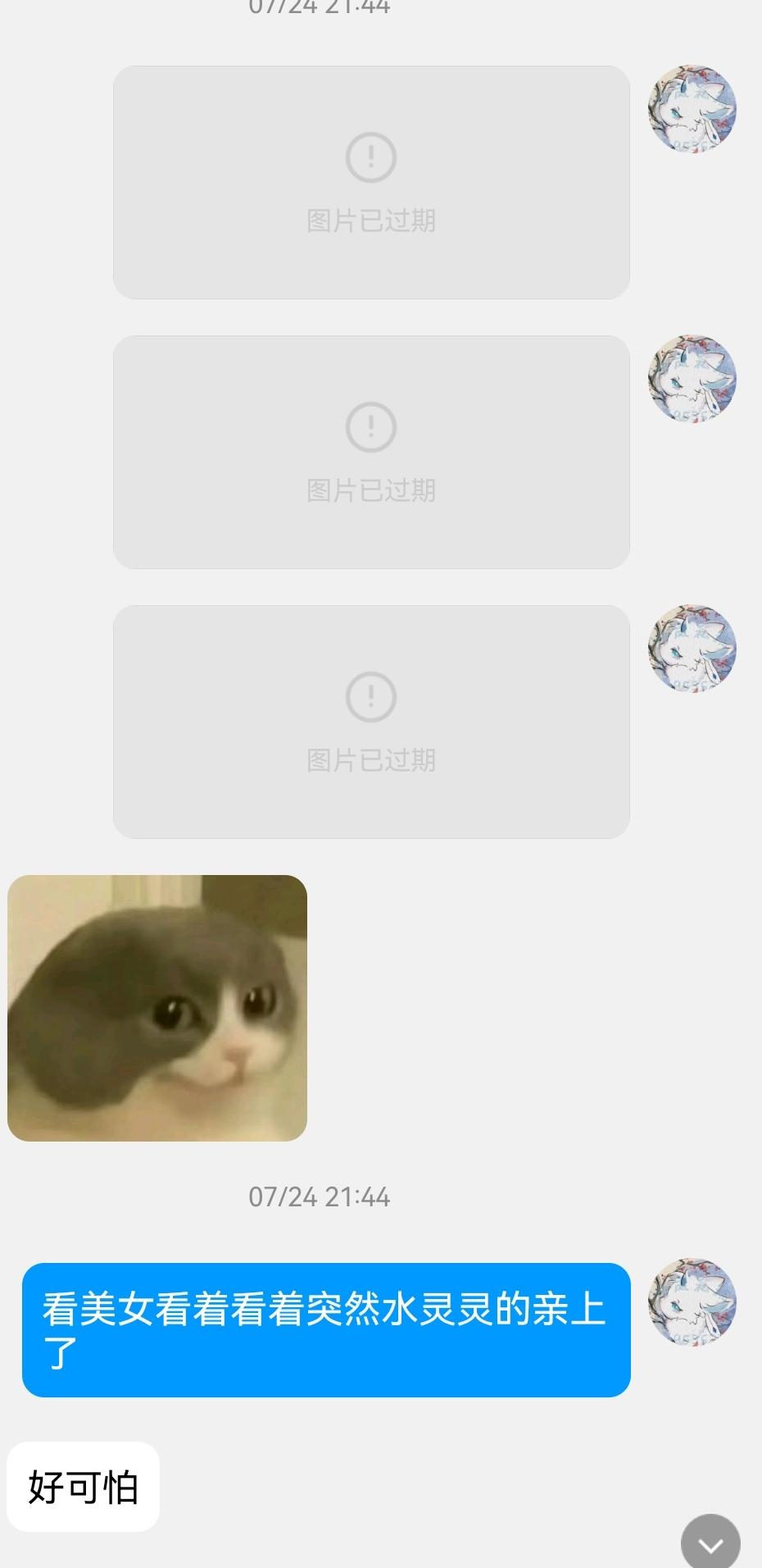 [图片]