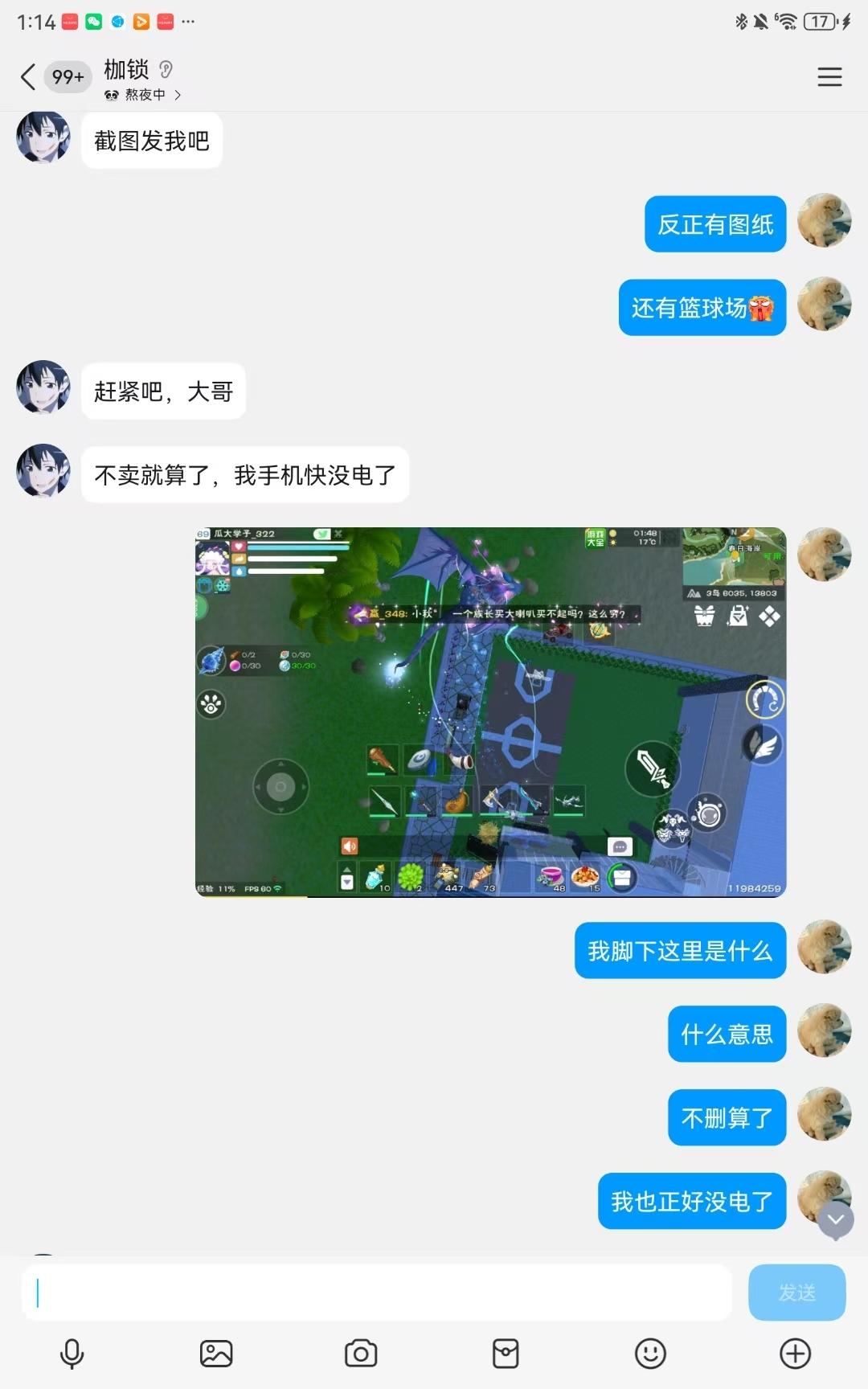 [图片]