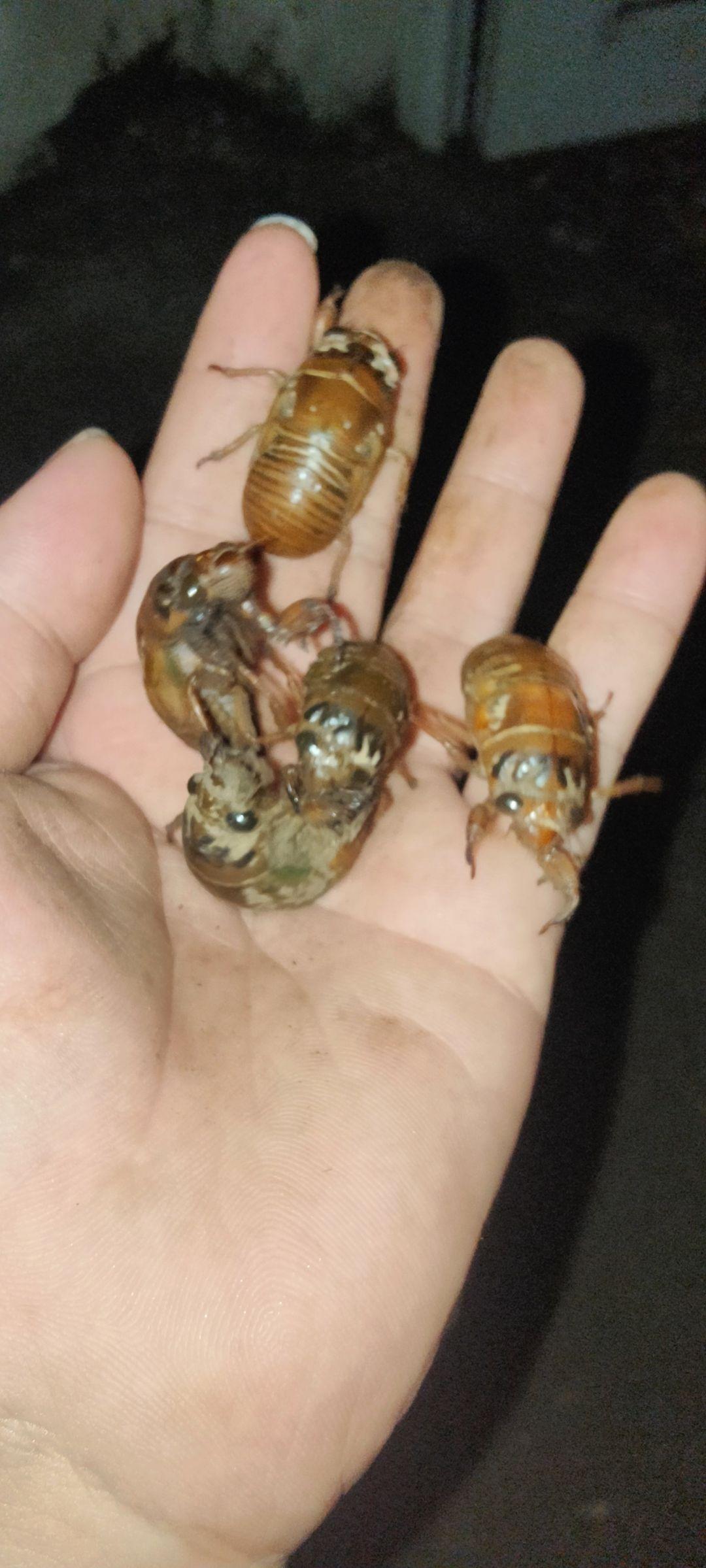 [图片]