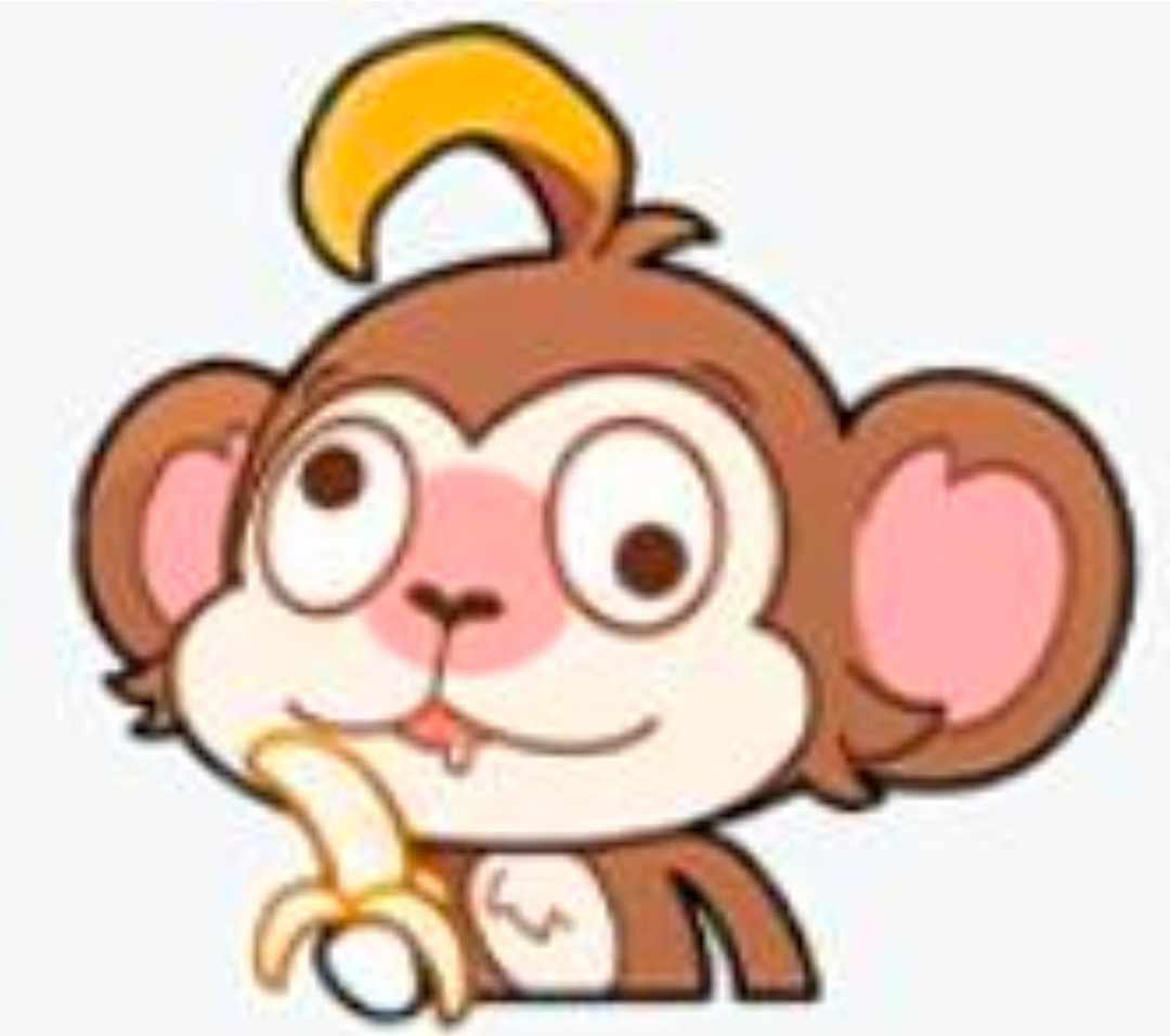 [图片]
