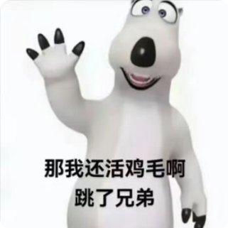 [图片]
