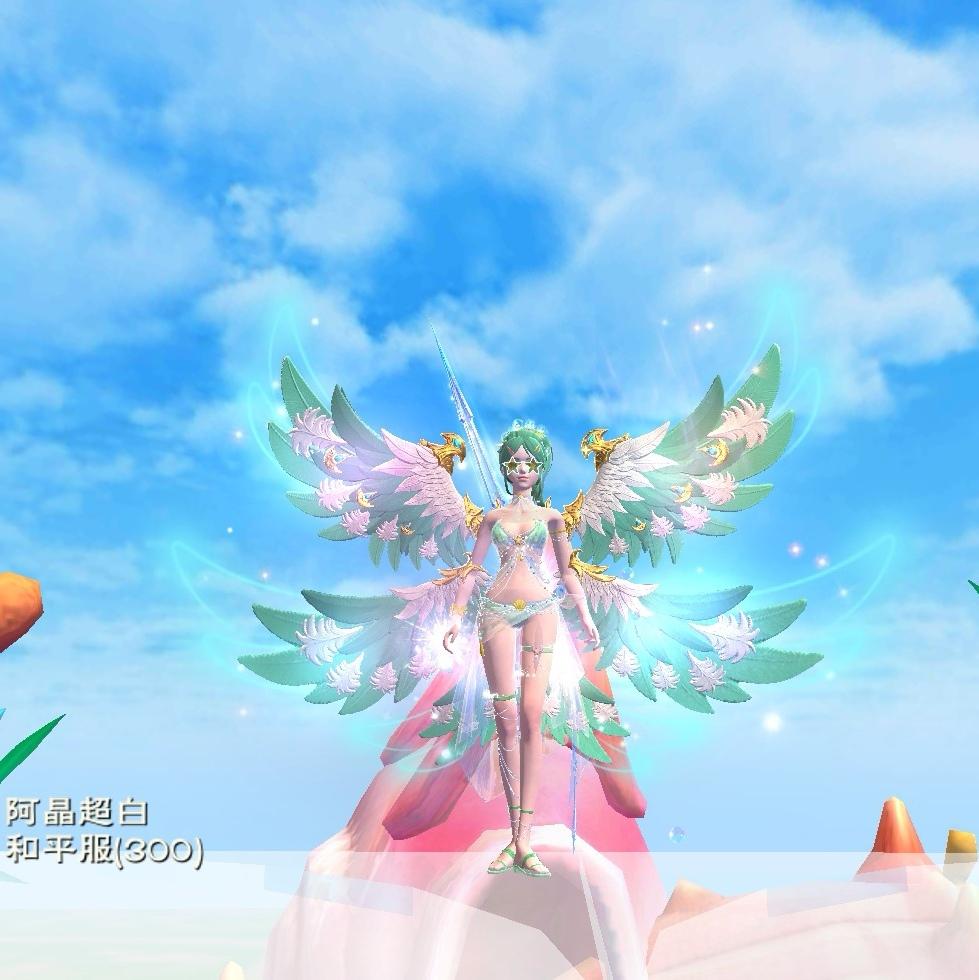 [图片]