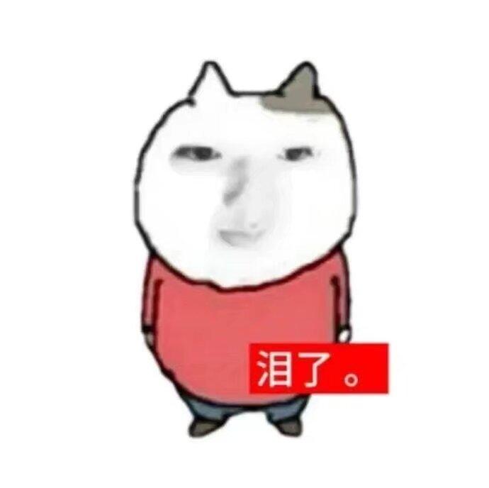 [图片]