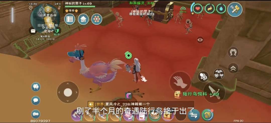 [图片]