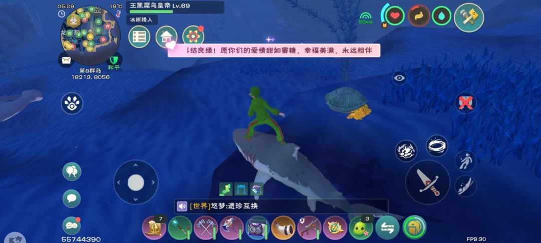 [图片]